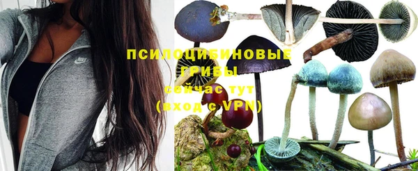 MDMA Premium VHQ Абинск