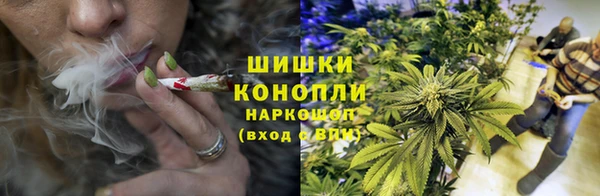 соль ск Абаза