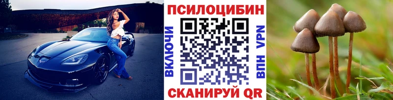 магазин продажи наркотиков  hydra вход  Галлюциногенные грибы Psilocybe  Кумертау 