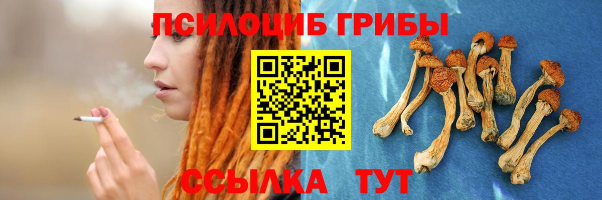 Галлюциногенные грибы Magic Shrooms  Вход с VPN  наркошоп  Кумертау 
